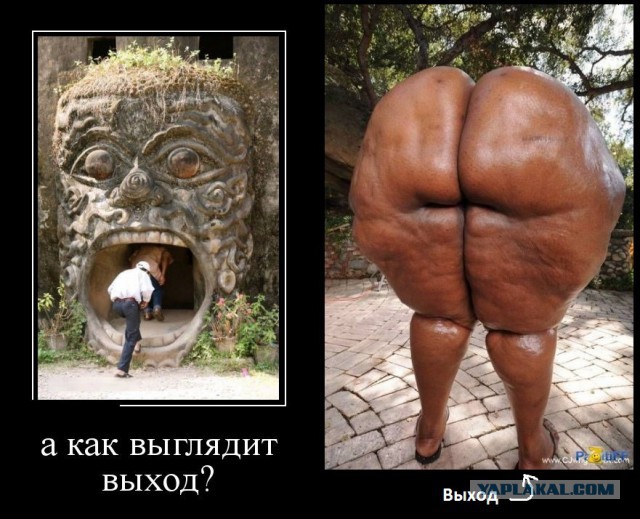 Картинки и демотиваторы