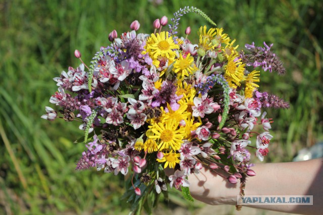 Славянская Душа