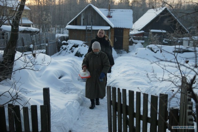 Акция "Квартира для бабушки"