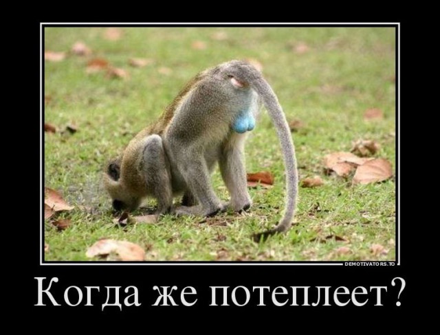 Позитивная подборка демотиваторов