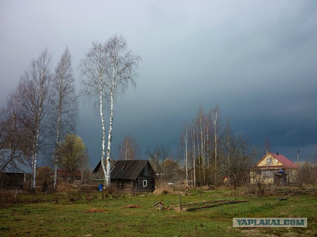 Подборка интересных и прикольных фото