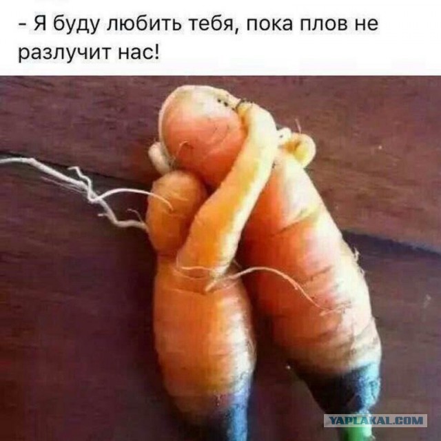 Картинки из сети