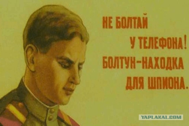 Словно мухи, ходят слухи…