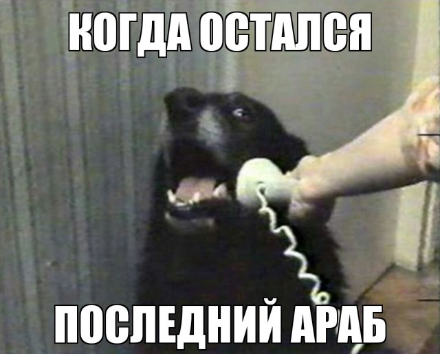Адай