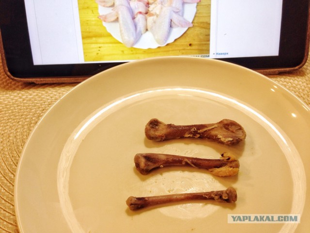 Летнее окрыление!