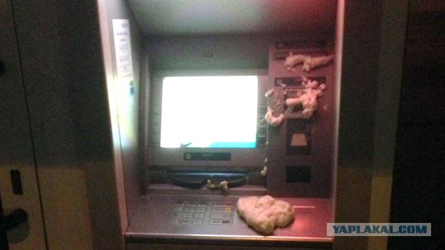 Человек живёт на втором этаже над банкоматом, и теперь он стал говорящим, банкомат, а не человек