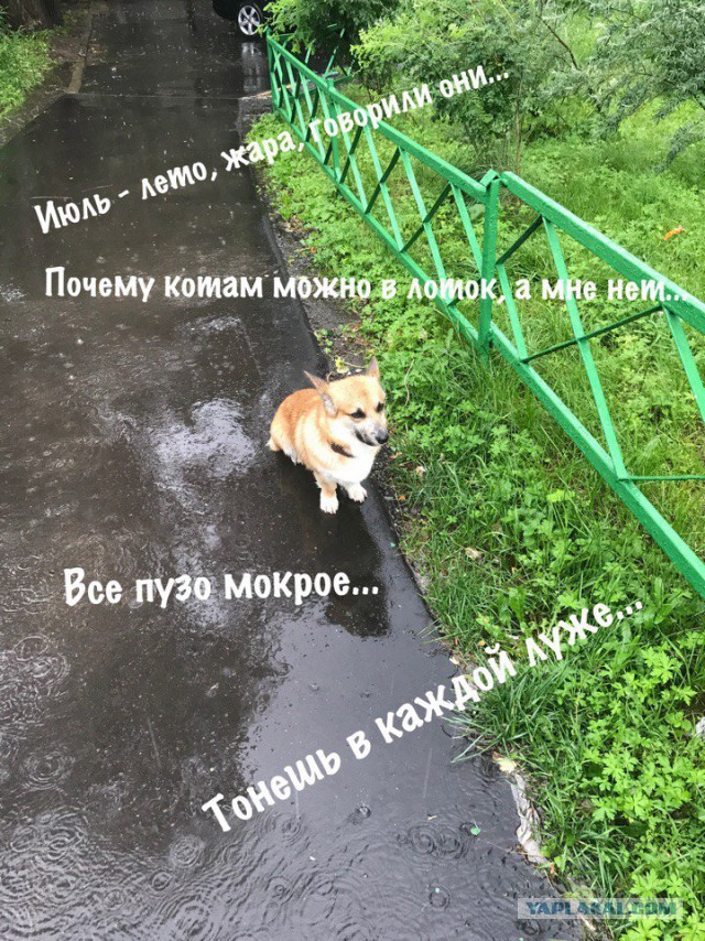 Убеждения или смерть.