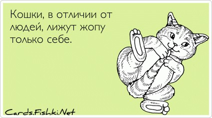 Астраханец сделал скульптуру медведя с лицом Путина и теперь собирается подарить её президенту