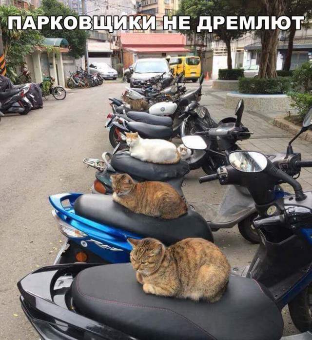 Нестандартный юмор