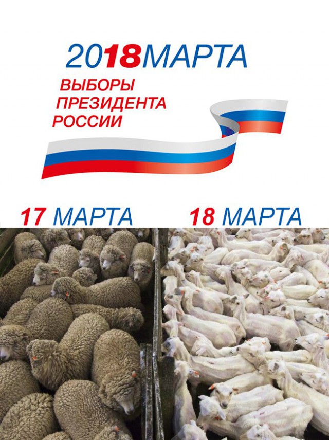 «Потрясающе то, что выше пенсию поднять невозможно — никакими зарплатами!»