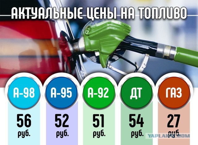 Отчитались перед Путиным за топливо