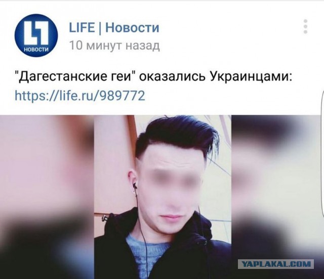 Немного картинок в этот вторник