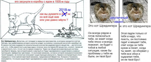 Квантовая запутанность , мы все связаны со всем, что существует вокруг нас