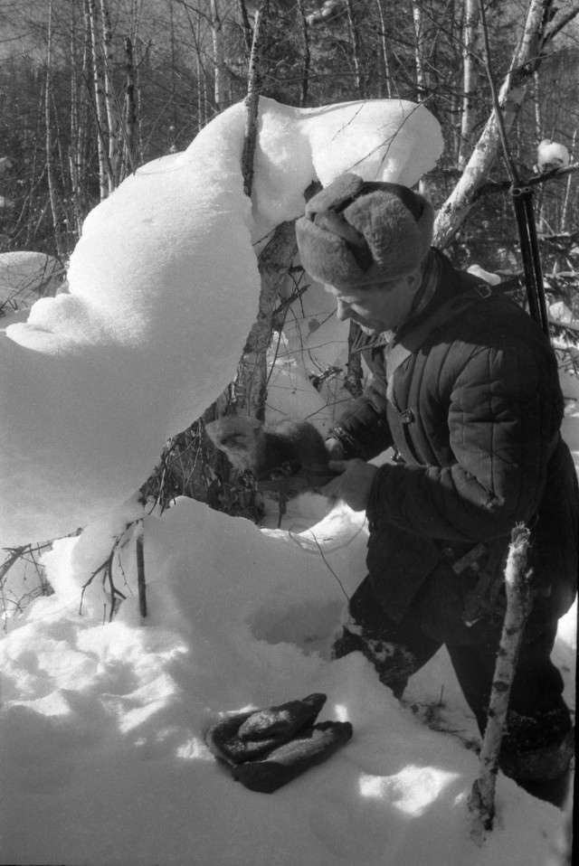 1950-е. Охота в Сибири на фотографиях Марка Степановича Редькина