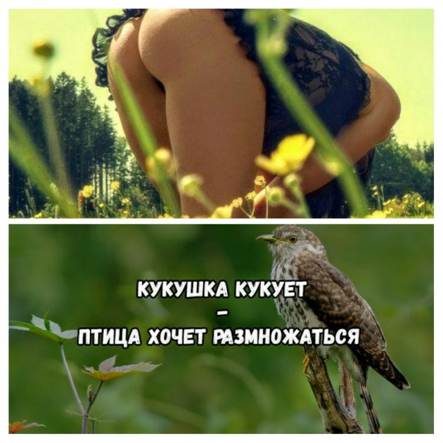 Немного картинок на вечер