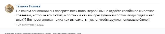 Помогите вернуть кота! Приют "Преданное сердце" украл кота и не отдает!-2