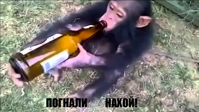 Поезд дальше не идёт