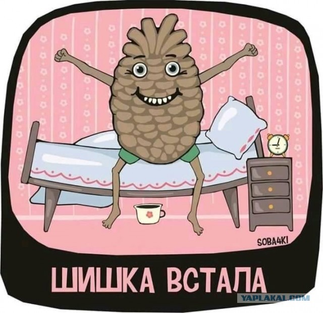 Небольшой отдых для мужских глаз в первый день весны