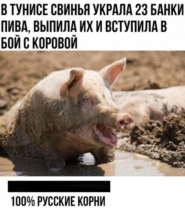 Немного картинок для настроения 25.06.20