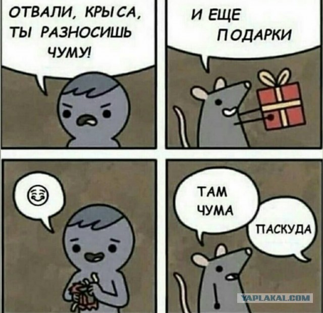 Бредзона (без кудябликов)