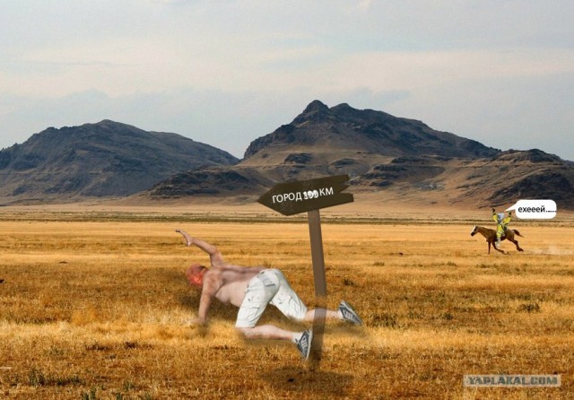 Фотожаба: Давай, гони!
