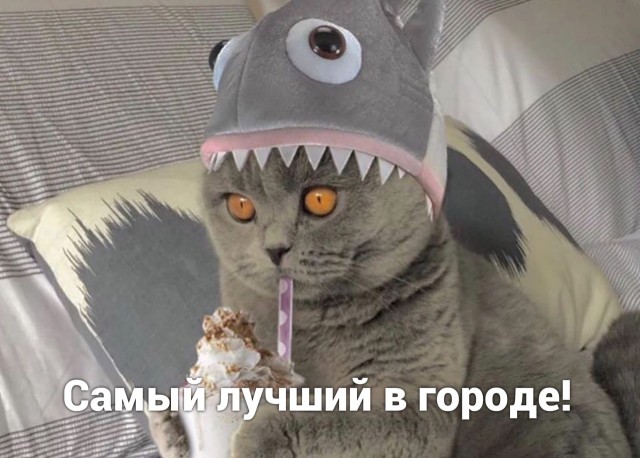 Удобная женщина для харизматичного мужчины