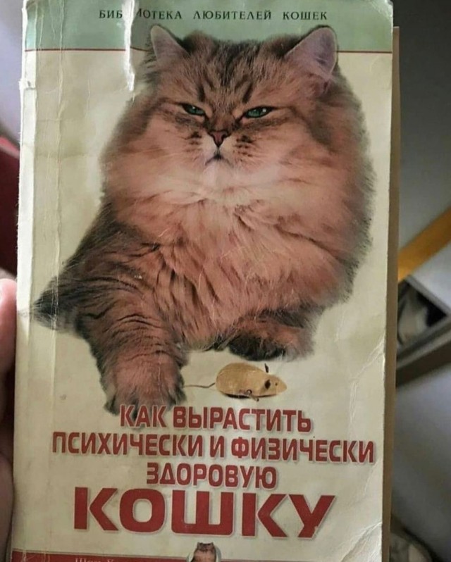 Картинки разные