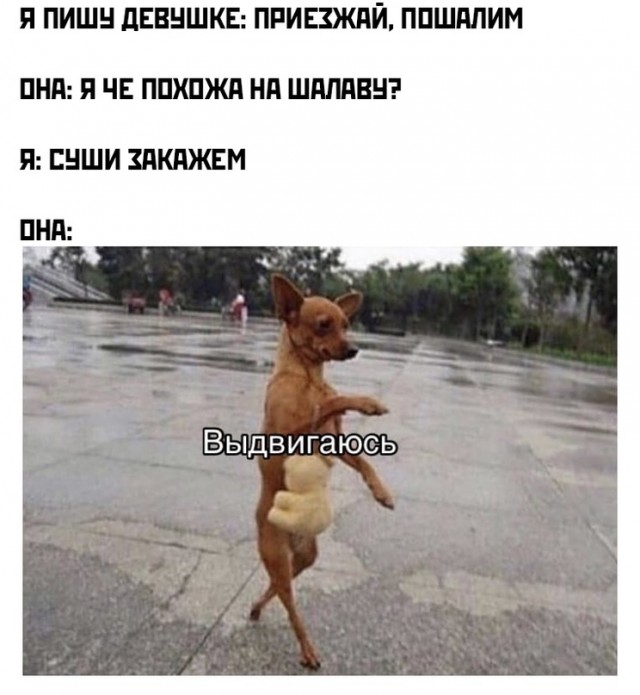 Весёлый полтишок 28.03