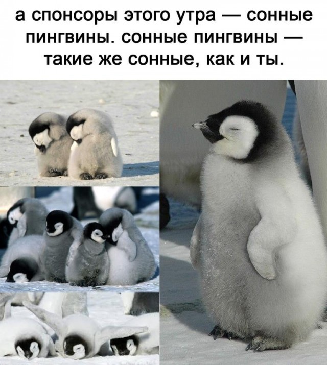 Так себе картинки 03.04.21
