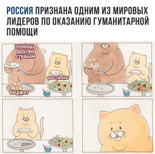 Так себе картинки 31.07.21