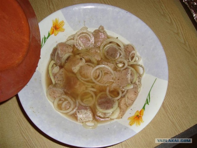 Шашлык, рецепты маринада, все про шашлык!