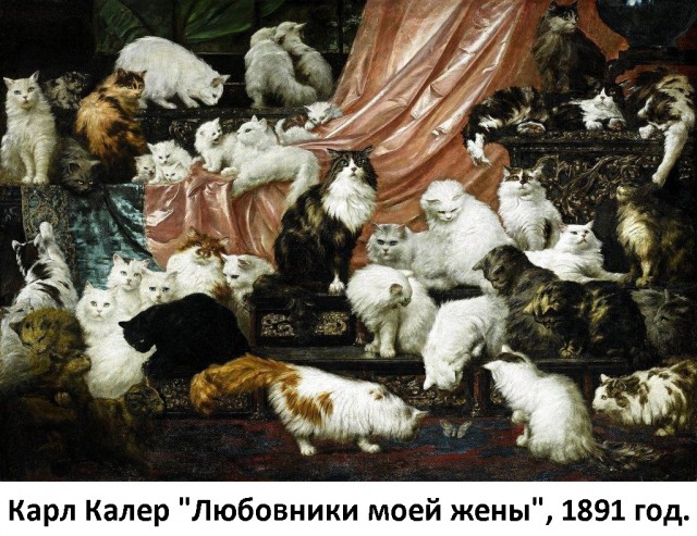 35 картинок разных 26.08.2021