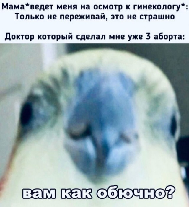 Пятница. И немного слегка пошлых картинок с надписями и без 16+ (27.08)
