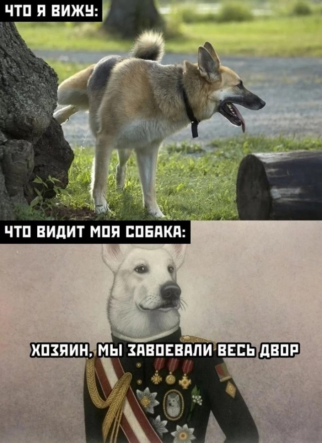 Кретинизмы из сети 01.09.2021