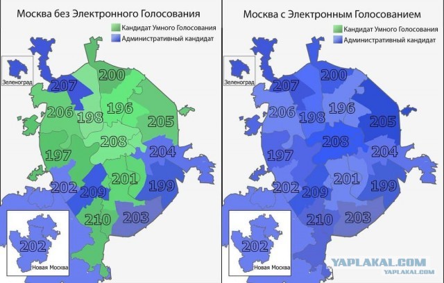 Моя работа на выборах 2021 и выводы