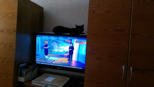 Неудачный ремонт телевизора