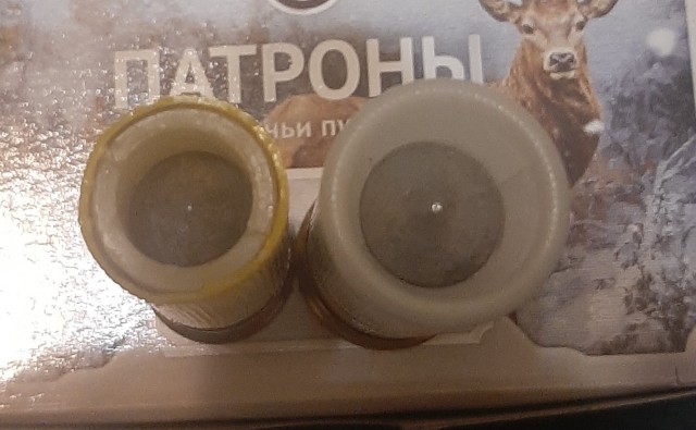 Убившего дикую медведицу боксера заподозрили в браконьерстве