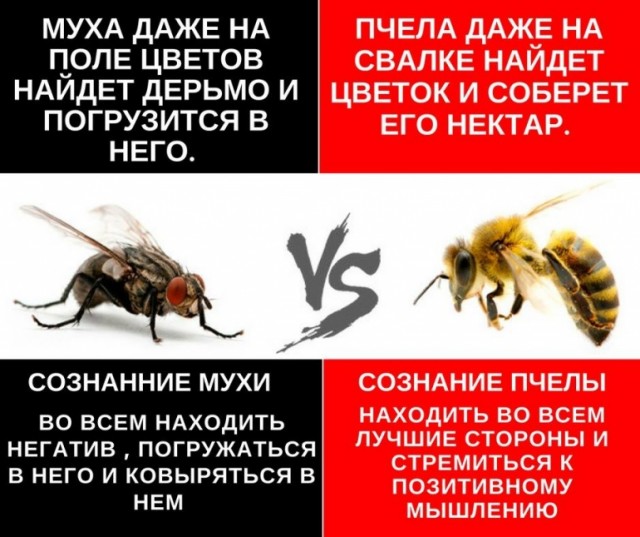 Пандемия. Коронавирус. Россия и мир. Последняя информация. Часть 25