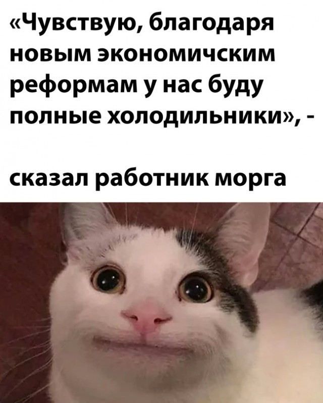 Весёлый полтишок 30.10