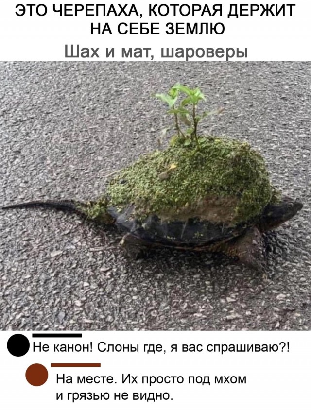 Баянисто-небаянистый юмор 11.01.22
