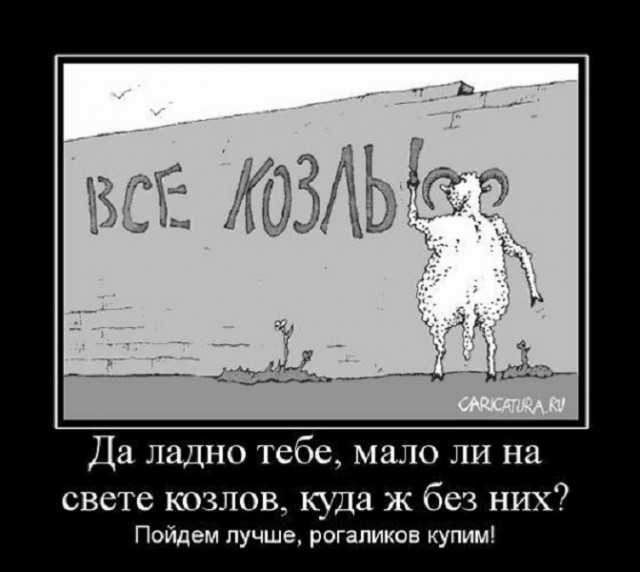 Иногда женщин тянет на правду