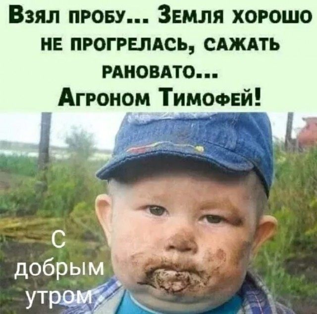 Дама в поиске