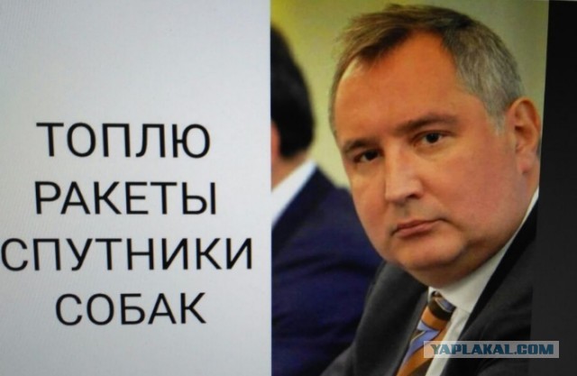 В свете последних событий