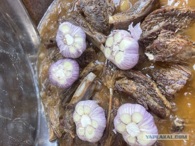 Пятничный плов.