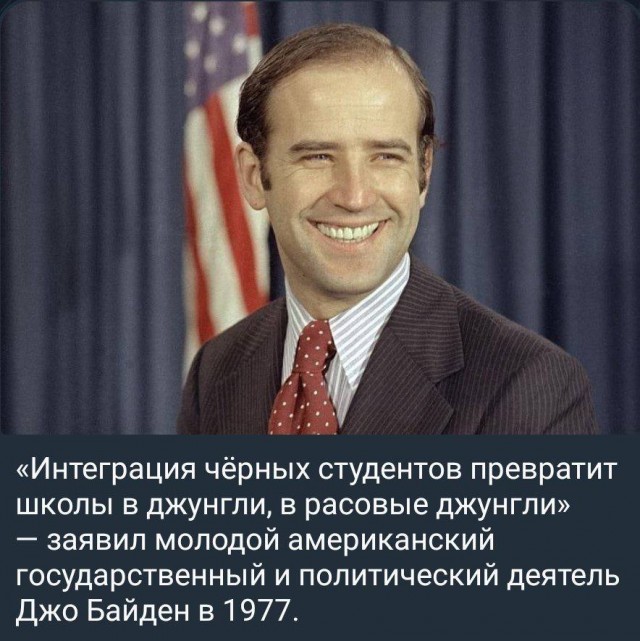 Обезьянка отхватила