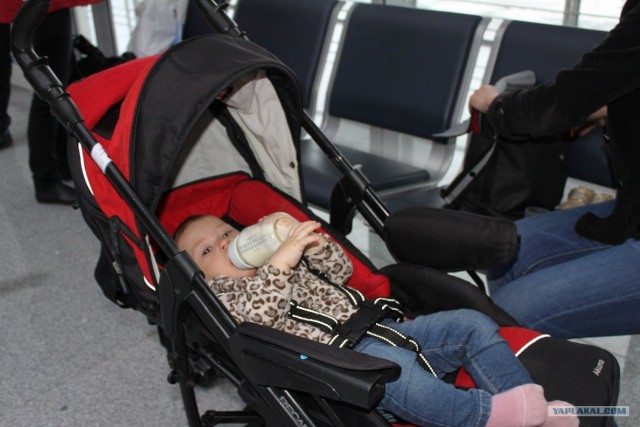 В отпуск с детёнышем