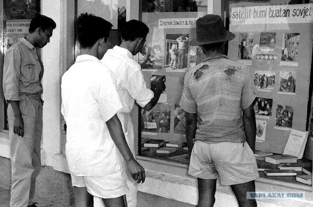 Они живут только 40 лет