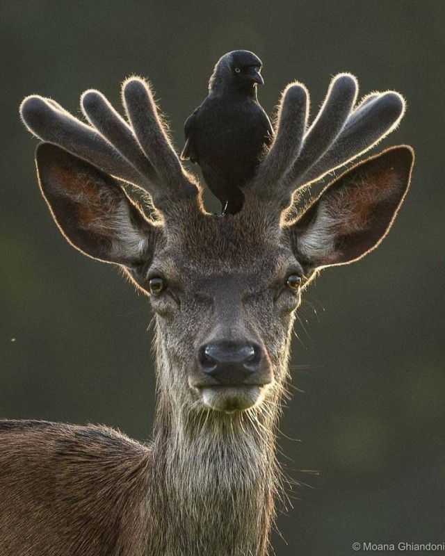 Необычные картинки 19.07.2022