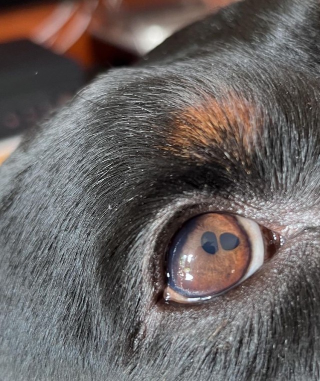 16 неожиданностей, которые преподнёс мир, доказав, что всё удивительное происходит у нас под носом