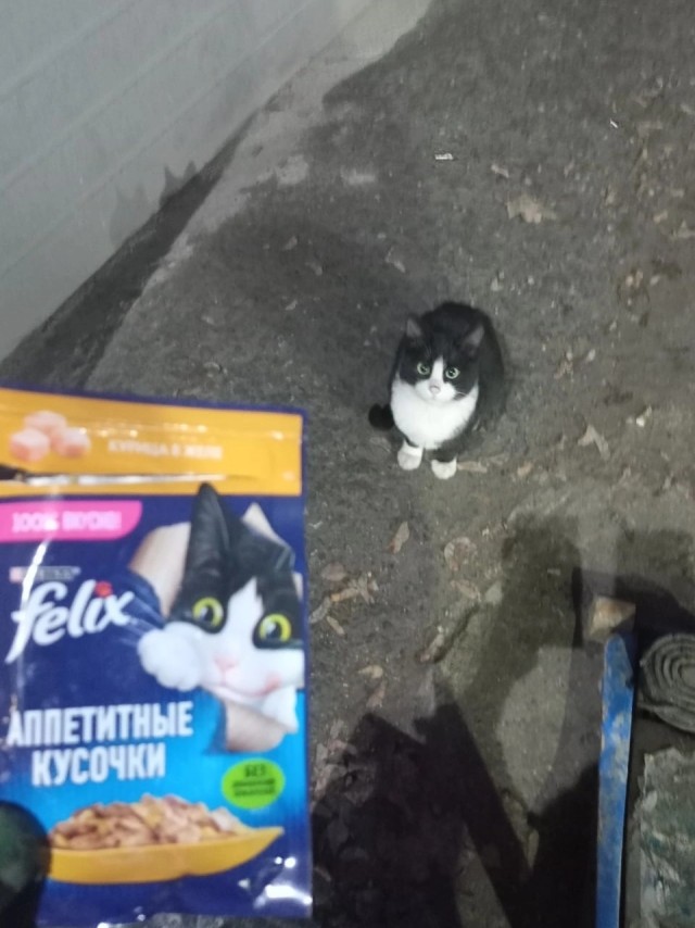 Пришел сегодня вот такой милаха!